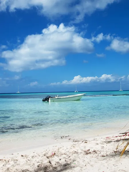 Τροπική παραλία στη Δομινικανή Δημοκρατία. Καραϊβική Θάλασσα — Φωτογραφία Αρχείου