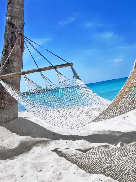 Hangmat op het tropisch strand — Stockfoto