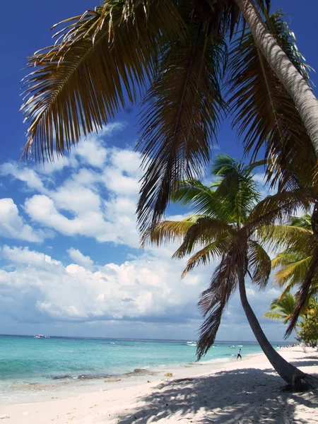 Tropical beach, Dominikai Köztársaság. Karib-tenger — Stock Fotó