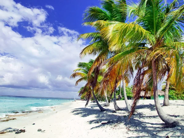 Tropikalnej plaży w Republice Dominikańskiej. Morze Karaibskie — Zdjęcie stockowe
