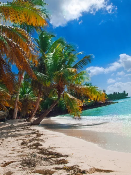 Playa tropical en República Dominicana. Mar Caribe. Saona islan — Foto de Stock