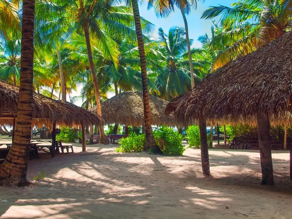 Tropical beach in Dominican republic. Caribbean sea. Saona islan — Stock Photo, Image