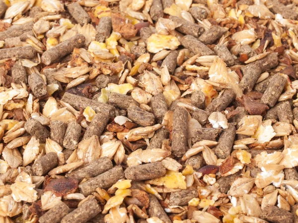 Fondo de muesli deportivo natural. para el caballo . — Foto de Stock