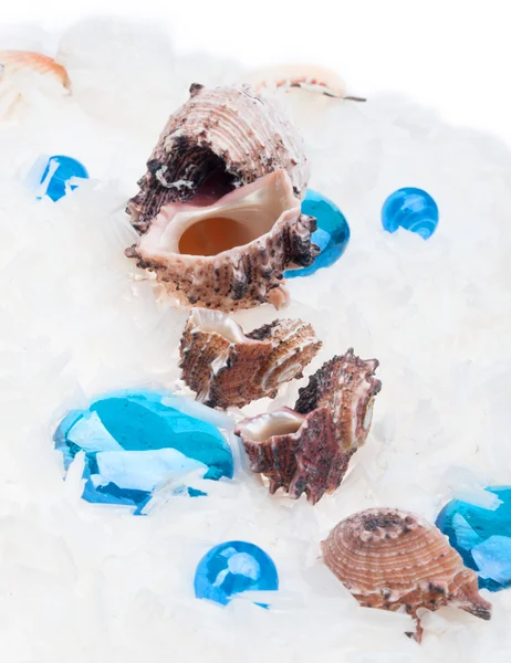 Fondo marino abstracto con guijarros de vidrio azul y concha en whi — Foto de Stock