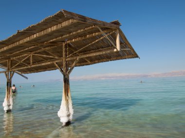 ein gedi, İsrail, dead sea Spa tesisinin.