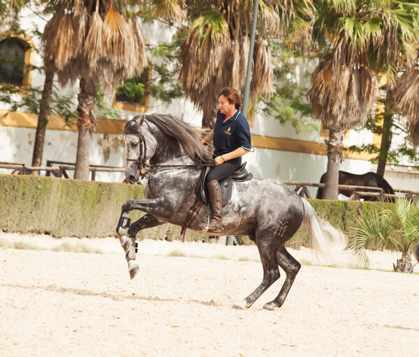 JEREZ DE LA FRONTERA, SPAIN - 18 MAY, 2012: Выступление h
