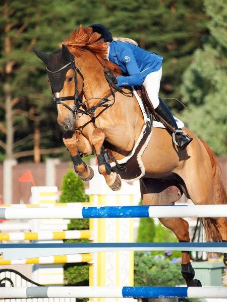 Saint petersburg-juli 05: reiterin valeriya sokolova auf sir stanwel — Stockfoto