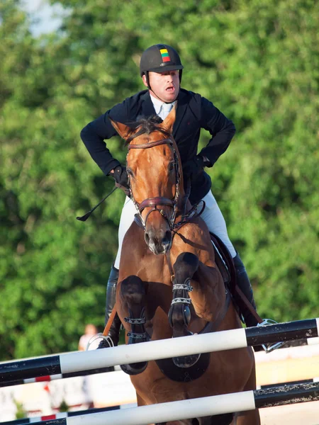 SAINT PETERSBURG-JULY 05: Rider Valdemaras Zukauskas on Domien — Stock Photo, Image