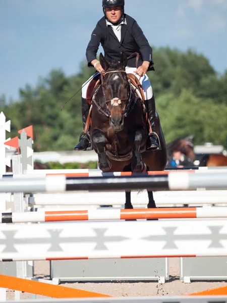 SAINT PETERSBURG-JULY 05: Rider Tiit Kivisild na Córsega — Fotografia de Stock