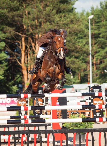 SAINT PETERSBURG-JULY 05: Rider Kir Majorov on Unique — Stock Photo, Image