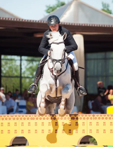 SAINT PETERSBURG-JULY 06: Rider Matas Petraitis on Cattio — Stock Photo, Image