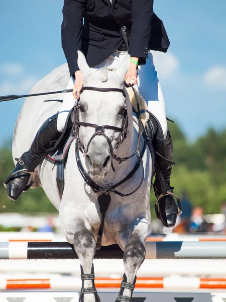 Springen wit paard met ruiter — Stockfoto