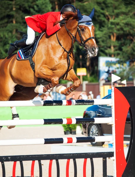 Cavallo di castagno che salta con cavaliere — Foto Stock