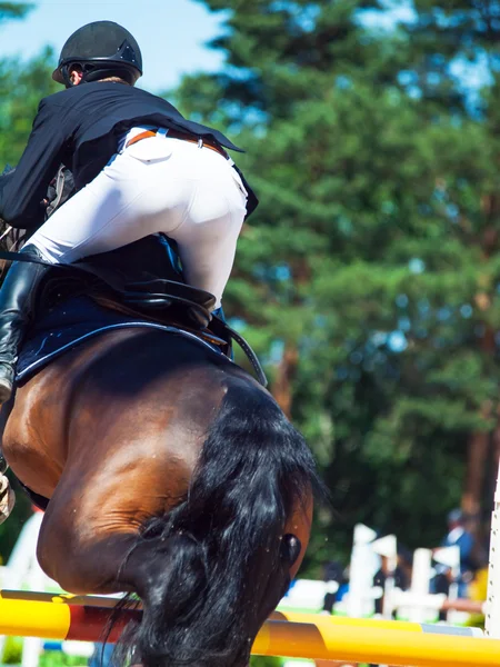 Paard met ruiter springen — Stockfoto