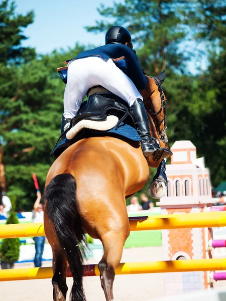 Jumping horse with rider. View bihind — Stock Photo, Image