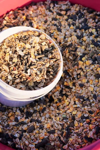 Pembe kovada servis edilen sportif at için temel at müsli. Kapat. at besleme konsepti