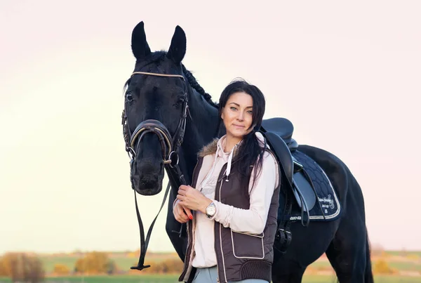 Portrét Krásného Černého Koně Jezdcem Pózujícím Zelené Travnaté Louce Podzimní — Stock fotografie