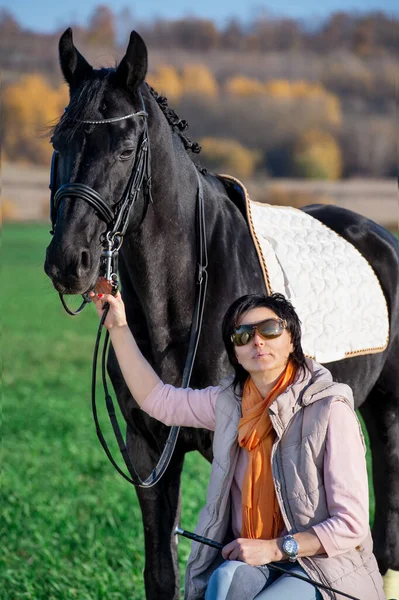 Ritratto Bellissimo Cavallo Nero Con Suo Proprietario Cavaliere Posa Prato — Foto Stock