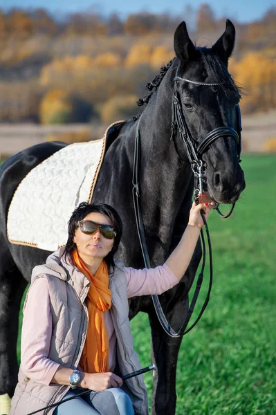 Retrato Hermoso Caballo Negro Con Dueño Jinete Posando Prado Hierba — Foto de Stock