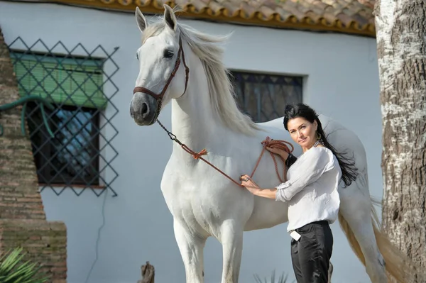 Krásná Brunetka Pózující Krásným Bílým Andaluským Hřebečkem Téměř Stabilní Španělsko — Stock fotografie