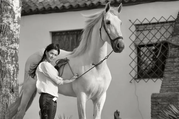 Schöne Brünette Posiert Mit Schönen Weißen Andalusischen Hengst Fast Stabil — Stockfoto