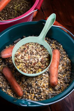 Profesyonel müsli ve atlar için granüller havuçlu kovalarda servis ediliyor. Kapat. Beslenme ve at bakımı konsepti.