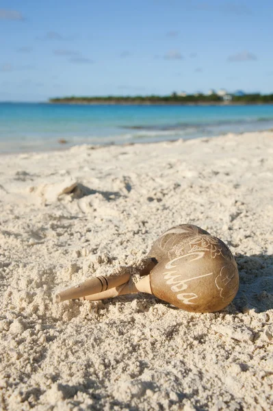 Hochet cubain sur un sable — Photo