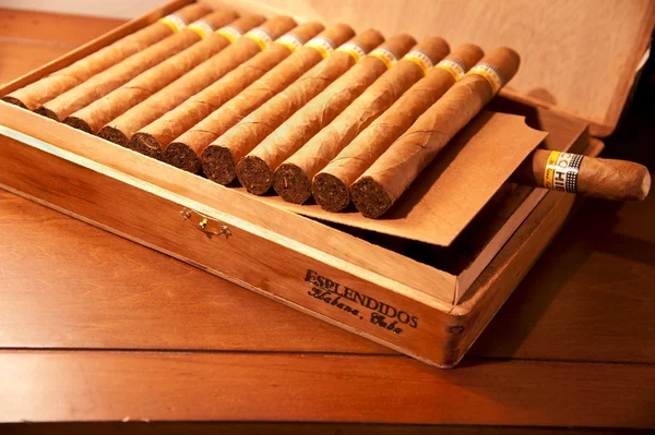 Cuban Cigars — Stock Photo, Image