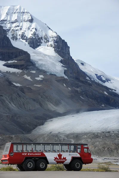 Bus Explorer con ghiacciaio Athabasca sullo sfondo — Foto Stock