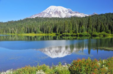 Mount rainier yansıma