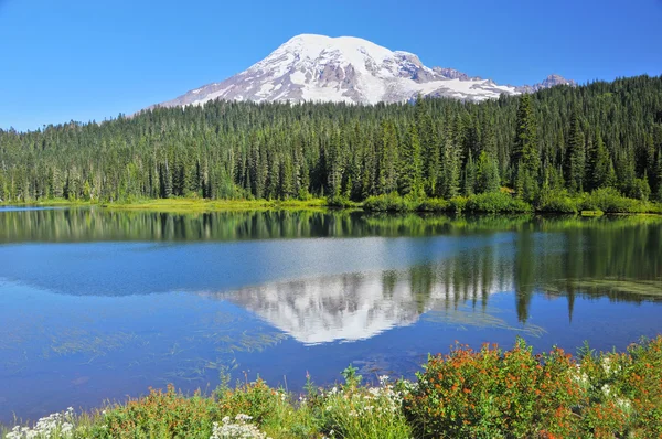Mount Rainier reflection — Stock Photo, Image