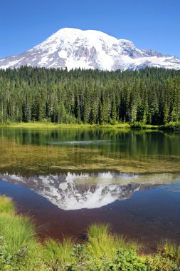 Mount rainier yansıma