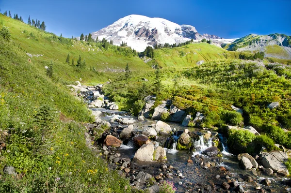 Mount Rainier im Paradies — Stockfoto