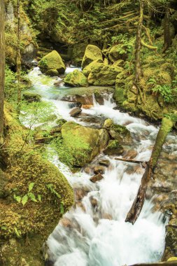 merdiven creek