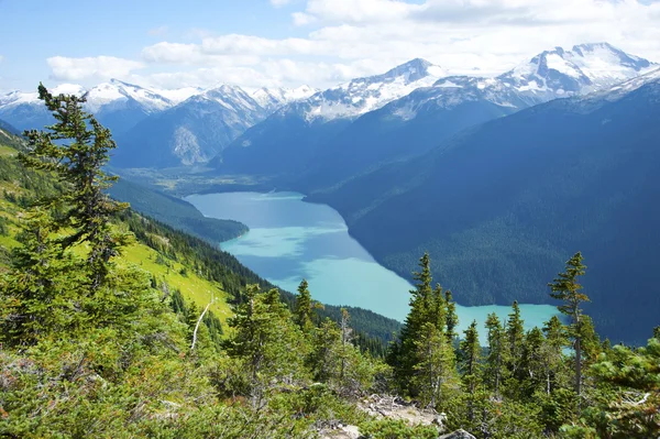 Cheakamus lake in een zomer — Stockfoto