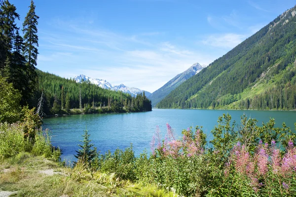 Duffey Lake em um verão — Fotografia de Stock