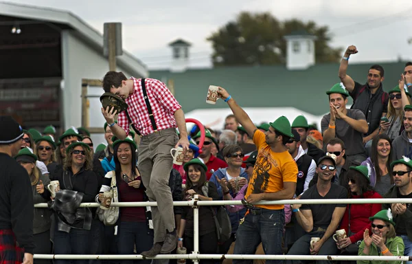 Beau 's Oktoberfest 2012 — стоковое фото