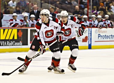 Ontario Hokey Ligi