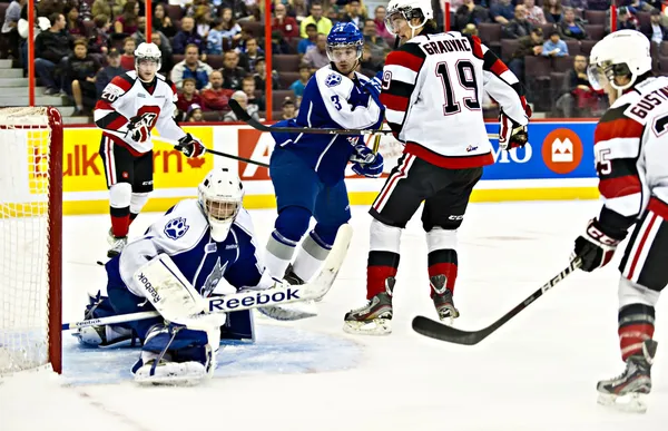 Liga de Hockey de Ontario — Foto de Stock