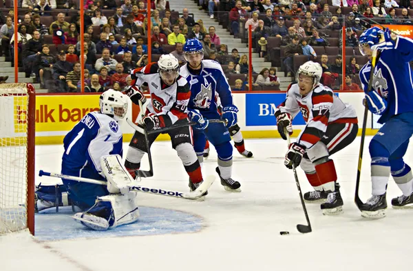 Juniorské ligy Ontario hockey league — Stock fotografie