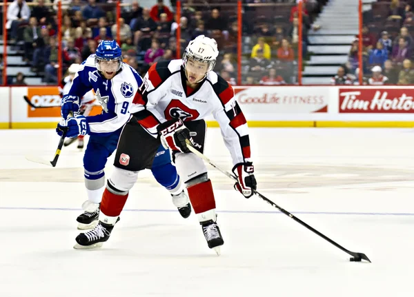 Juniorské ligy Ontario hockey league — Stock fotografie