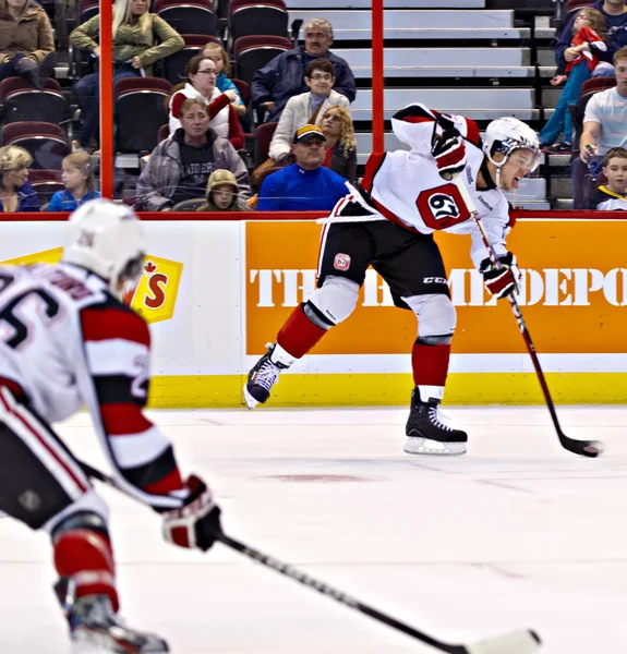 Ontario Hockey League — Stock Photo, Image