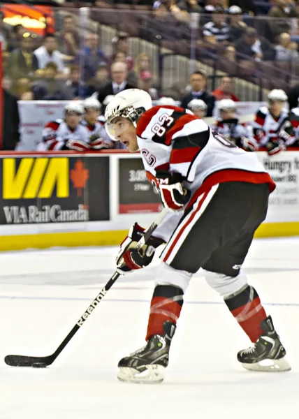 Ontario Hockey League — Stockfoto