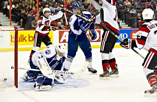 Ontario Hockey League-ben Jogdíjmentes Stock Fotók