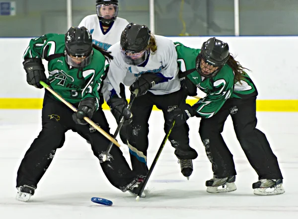 Ringette 스톡 사진