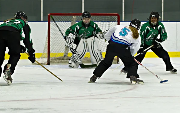 Ringette Jogdíjmentes Stock Képek