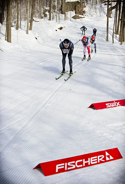 Oost-Canadese kampioenschappen — Stockfoto