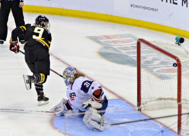 IIHF 2013 kadınlar buz hokeyi Dünya Şampiyonası
