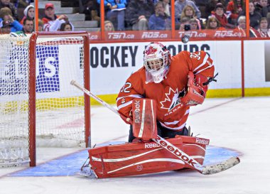 IIHF 2013 kadınlar buz hokeyi Dünya Şampiyonası