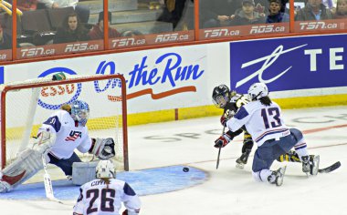 IIHF 2013 kadınlar buz hokeyi Dünya Şampiyonası